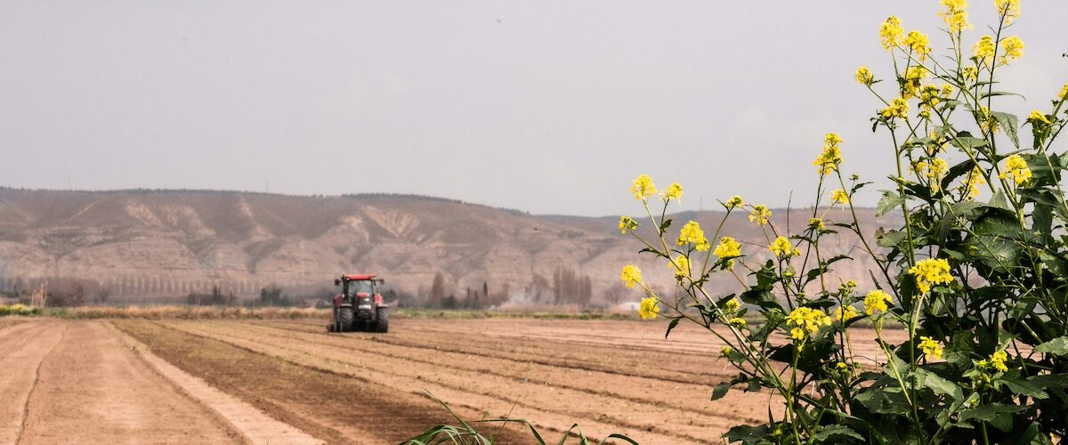 franquias de agronegócio