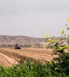 franquias de agronegócio