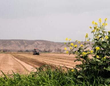 franquias de agronegócio